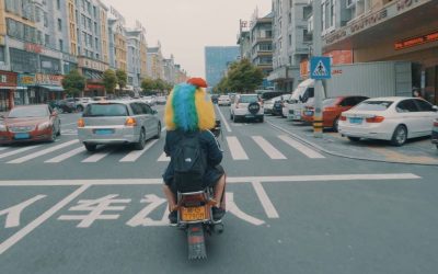How to Get Around Beijing